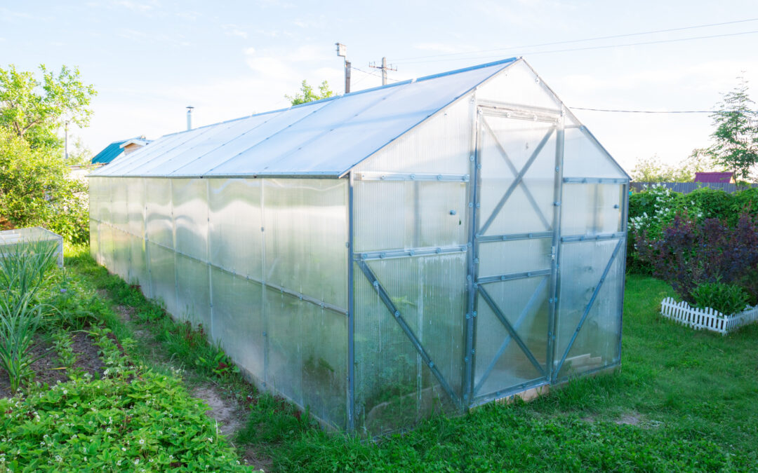 How to Secure Polycarbonate Panels in a Greenhouse?
